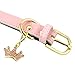 PET ARTIST Pink Classic Soft Padded Leather Dog Collar for Medium Dogs
