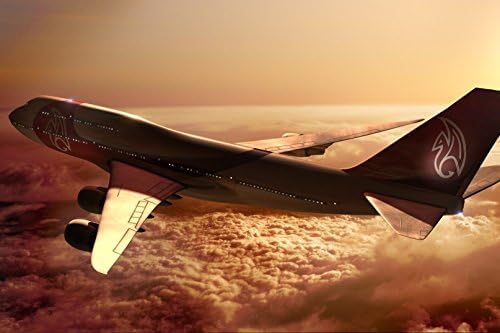 Poster HMBROTHERS Stylish Art Print Aircraft Boeing 747 Pattern Print Wall Decorative Wall Poster 20-Inch By 30-Inch