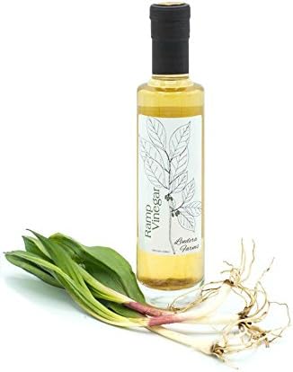 Ramp Vinegar