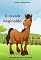 Livro O cavalo Reginaldo