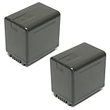 Wasabi Power Battery (2-Pack) for Panasonic VW-VBT380