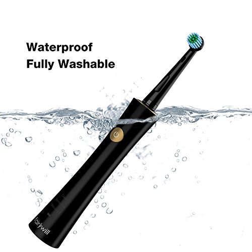 Купить Fairywill Sonic and Rotary в интернетмагазине Amazon с