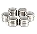 Bekith 6 Pack Stainless Steel Magnetic Multi-Purpose Spice Storage Tins, Clear Top Lid with Sift or Pour, Magnetic on Refrigerator and Grill (Small)