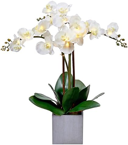 Homeseasons LED Pre-Lit Triple Stem Phalaenopsis Silk Orchid Arrangement-Battery Operated Lighted Artificial Orchid Plant(White)
