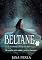 Livro Beltane : Um conto Celta no Século XXI (Série Roda do Ano Livro 1)