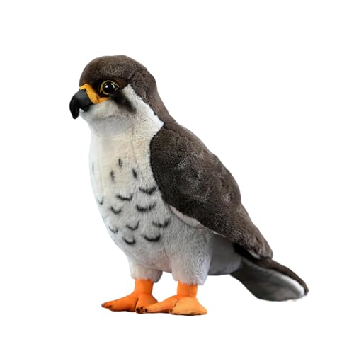 Peregrine
