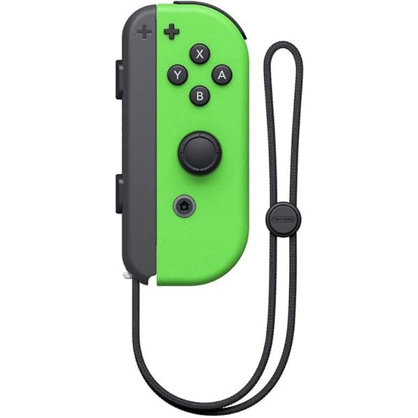 ニンテンドースイッチJoy-Con無し Nintendo Switch Joy-Con Pastel Purple / Pastel Green Japan