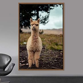 signwin Framed Canvas Wall Art Llama Animals Camels...