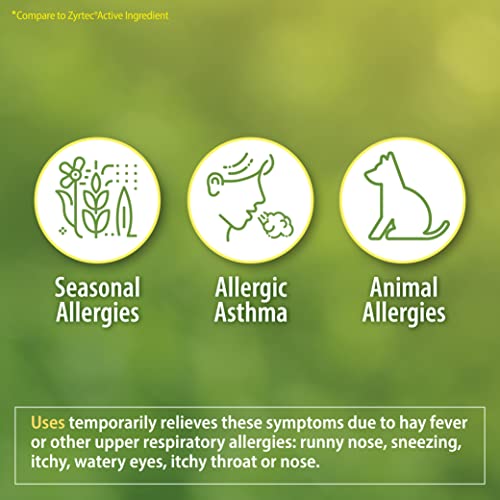 HealthA2Z Allergy Relief, All Day Allergy, Cetirizine HCL 10mg, 250