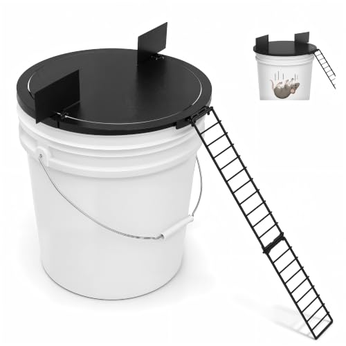 Bucket Mouse Trap