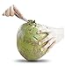 S STORD Coconut Opener for Fresh Green Young Coconut Water - Works With Peeled Thai Young White Coconuts - Open in Seconds Super Safe Easy and Fast