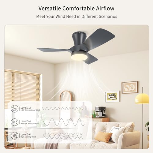 Ceiling Fan with Light and Control 80 cm for Low Ceilings, Silent DC Motor with Memory, 6 Speeds, Adjustable 3000-6000K, Timer, Reversible Summer/Winter, for Bedroom Living Room, Black