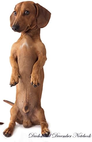 Dachshund December Notebook Dachshund Record, Log, Diary, Special Memories, To Do List, Academic Notepad, Scrapbook & More