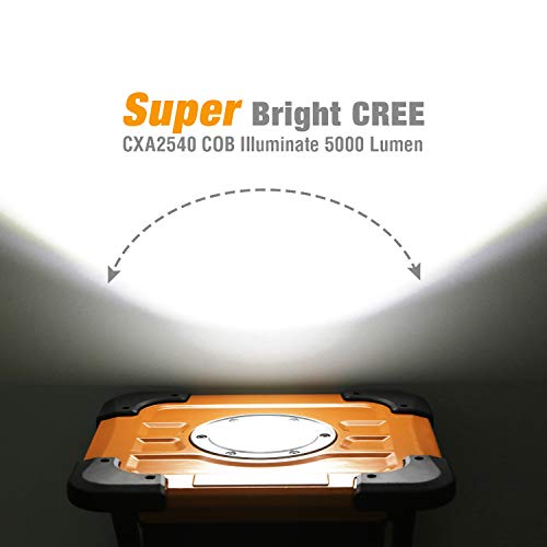   EverBrite 5000LM LED Work Light, 60W CREE COB, 180 degree Adjustable Lighting Angle with Stand, Waterproof Flood Light with Power Cord  for Construction Site, Garage, Car Repair, Lawn and Garden  