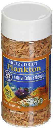 San Francisco Bay Brand ASF71205 Freeze Dried Plankton for Fresh and Saltwater Fish, 14gm