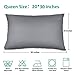 Adoric Queen Pillow Protectors, 2 Pack Brushed Microfiber Wrinkle-resistant Hypoallergenic Pillow Covers Pillowcases(Gray)