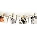 BTS Gifts Set for Army - 32Pcs BTS Lomo Card/1 BTS Lanyard/2 BTS Collapsible Phone Stand/1 BTS Keychain/1 BTS Pen/4 BTS 3D Stickers/2 BTS Tattoo Stickers