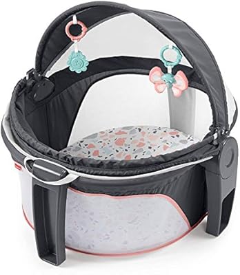 fisher and price on the go baby dome