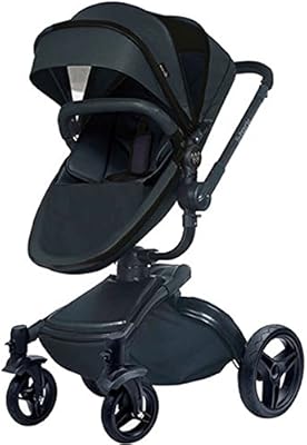 wonder buggy stork luxury 2 in 1