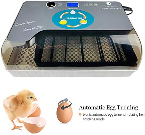 Ynredee Fully Automatic Egg Incubator,Digital Fully Automatic Hatcher for Egg Duck Egg Bird Egg Turkey Eggs Home Use (UK)