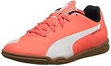 PUMA Evospeed 5.4 Indoor JR Soccer Shoe (Infant/Toddler/Little Kid/Big Kid) , Lava Blast/White/Total Eclipse, 4 M US Big Kid