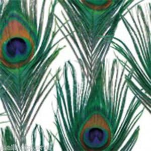 Peacock Design Tissue Paper 500 x 750mm 25 Pack