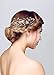 SWEETV Wedding Hair Comb Gold Rhinestone Flower Clip Bridal Hair Accessories for Bridesmaid Women