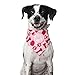 Dog Birthday Bandana - Girl Medium, Large
