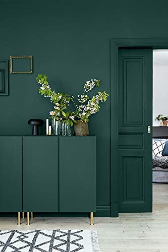 THE ONE ALL-IN-ONE PAINT & PRIMER: DURABLE FURNITURE, CABINET, FRONT DOOR, WALL, BATHROOM, KITCHEN – FAST DRYING INTERIOR & EXTERIOR CRAFT PAINT (GREEN, GLOSS, 8.5OZ)