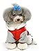 YOY 24 pcs/12 Pairs Adorable Grosgrain Ribbon Pet Dog Hair Bows with Elastic Rubber Bands - Doggy Kitty Topknot Grooming Accessories Set for Long Hair Puppy Cat