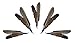 Prairie Horse Supply Replacement Feathers for Cat Wand (5 Pack) Refill for Da Bird GoCat Toy Top Choice Teaser Interactive Play for Kittens All Natural Genuine Guinea Feathers
