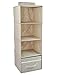 iwill CREATE PRO Collapsible Hanging Clothes Storage Shelves, Hanging Shoe Storage Bag for Closet, 4 Shelf, Separate Folding Drawer, Beige