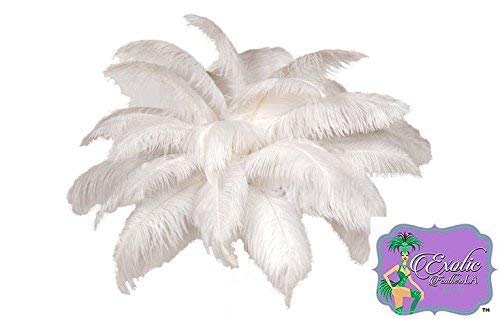 White Ostrich Feathers Wholesale Bulk 17-20" Long Deluxe DRAB Plumes 25 Pcs.