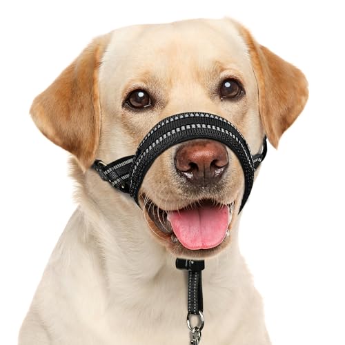 BARKLESS Soft Head Collar