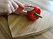 Paring Knife with Sheath is The Perfect Fruit Knife and An Essential Tool For Your Kitchen. The Protective Guard On This Knife Makes It Ideal For Camping or Travel. Also great for Hulling Strawberries