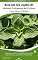 Livro Boldo de Jardim: 50 Dicas Práticas de Cultivo : Aprenda a cuidar do seu Boldo de Jardim com dicas de plantio, poda, adubação, irrigação, iluminação e controle ... Medicinais – Dicas Práticas de Cultivo)