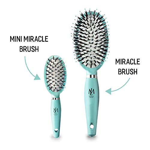 Leyla Milani Small Hair Brush Mini Miracle Brush Human Hair Detangler Travel Brushes For Sensitive Scalp Detangling Volumizing Nylon Boar Bristle Best Paddle Brush For Women Men Kids Teal Pricepulse
