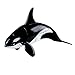 Safari Discovery Expedition Transforming Orca Whale to Robot Toy ~ 5