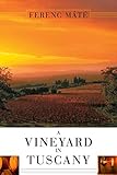 A Vineyard in Tuscany: A Wine Lover's Dream by