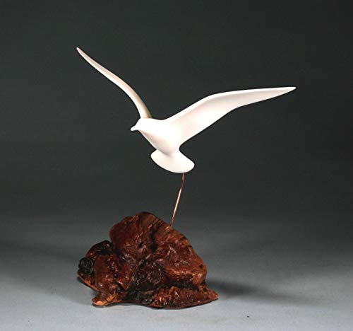 Seagull Sculpture from John Perry 9in Wingspan Upwing version on Burl Statue Figurine Art