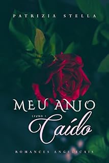 Livro Meu Anjo Caído - Vol.1: Romances Angelicais