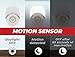 AMERELLE Motion Sensor Night Light, 3 Pack - LED Plug in Night Light with Sensor That Lights Up When It Auto Detects Motion - Wide 100 Degree Detection Zone - Ideal for Bathroom & Nursery - (73092CC)