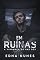 Livro Em Ruínas - A Vingança do Bad Boy: Livro único