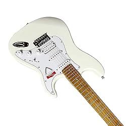 Vicers 6 string guitar, barbecue maple fingerboard