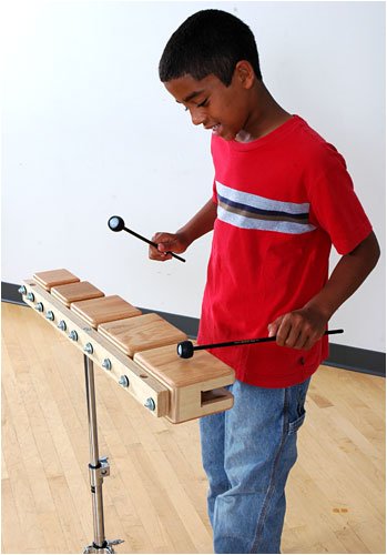 Basic Beat BBTB5 Temple Blocks Set