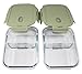 EcoNaturell Glass Meal Prep Containers (2-Pcs Set) with 2 Dividers Portion Control | BPA-FREE, Leakproof Food Storage Organization | Air Vent Lids Preservation System | Freezer, Oven, Microwave Safe