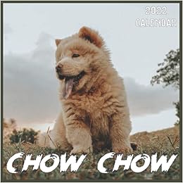 pocket chow chow