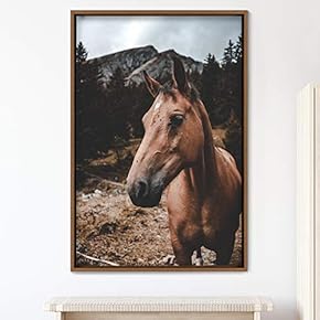 signwin Framed Canvas Wall Art Horse Animals Dramatic...