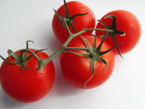 Fourth of July Tomato 4 Plants - Ripens in 44 days! Fourth of July Tomato 4 Plants - Ripens in 44 days!