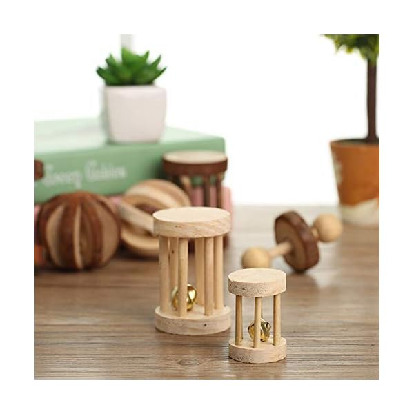 CCCYMM-6-Pcs-Pet-Natural-Wooden-Chew-Toys-Dumbells-Exercise-Bell-Molar-Toy-for-Parrot-Rabbit-Chinchilla-Guinea-Pig-Hamster-Small-Animals CCCYMM 6 Pcs Pet Natural Wooden Chew Toys Dumbells Exercise Bell Molar Toy for Parrot, Rabbit, Chinchilla, Guinea Pig…